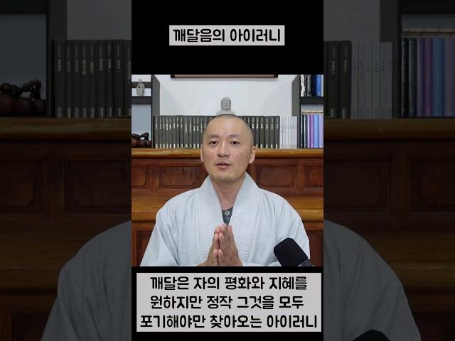 깨달음의 아이러니 #깨달음 #진리 #선불교 #마음