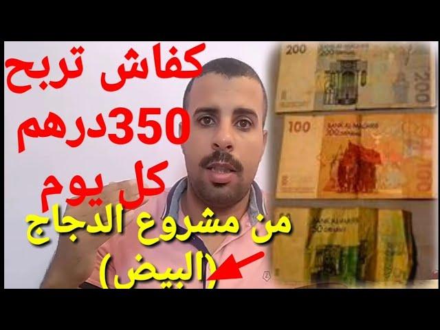 إربح 350 درهم كل يوم من مشروع الدجاج البلدي #البياض وأيضا اهم نصائح وشروط #الربح