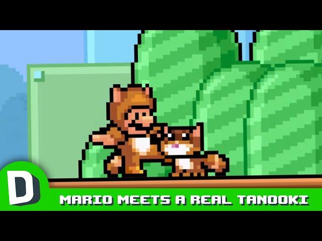 Mario Meets a Real Tanooki