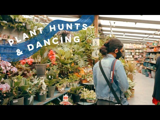 hunting for plants & dancing with my girls  | Vlog