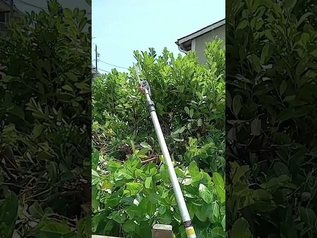 Husqvarna 525 PT5S Pole Saw