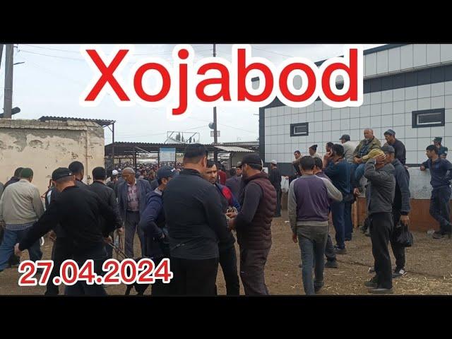 Андижон вилояти Хожабод Хайвон бозори 27.04.2024. #vodiydansado #tezkor #xabarlar