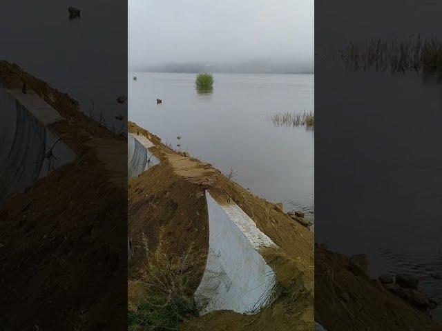 Левый берег в Улан-Удэ защищают от подтопления