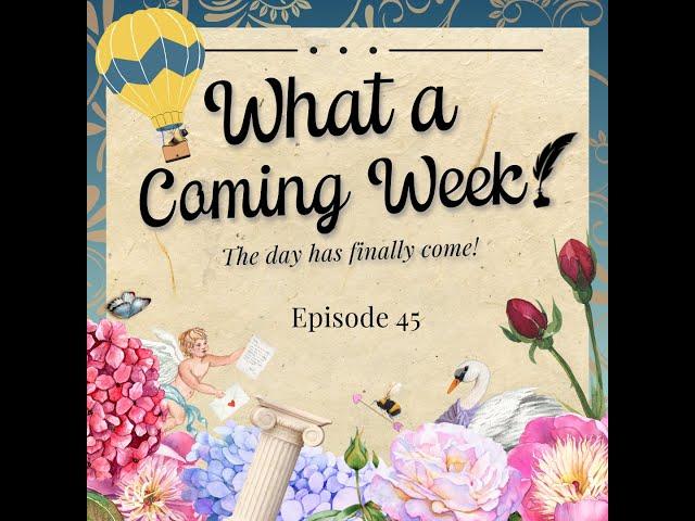 What a Barb! Episode 45 - What a Coming Week! [Season 3 Part 1 Q&A]