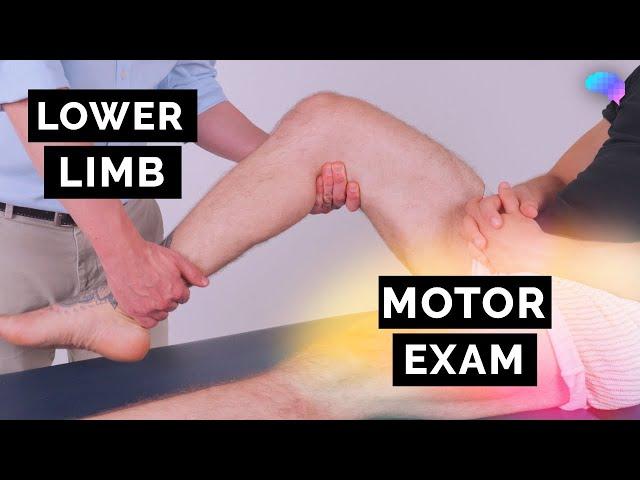 Motor Assessment of the Lower Limbs - OSCE Guide | UKMLA | CPSA | PLAB 2