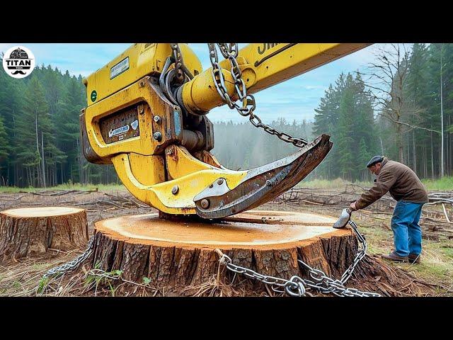 Amazing Fastest Big Tree Cutting Machines | Dangerous Tree Harvester Stump Destroy Machines #38