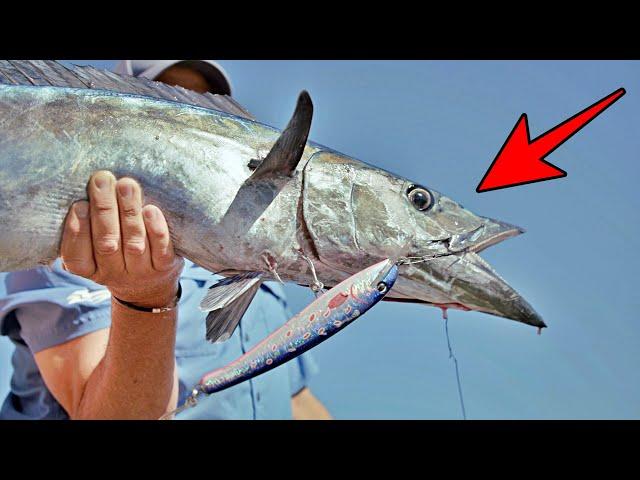 Built To Last  Halco's NEW Heavy Duty Trolling Lure