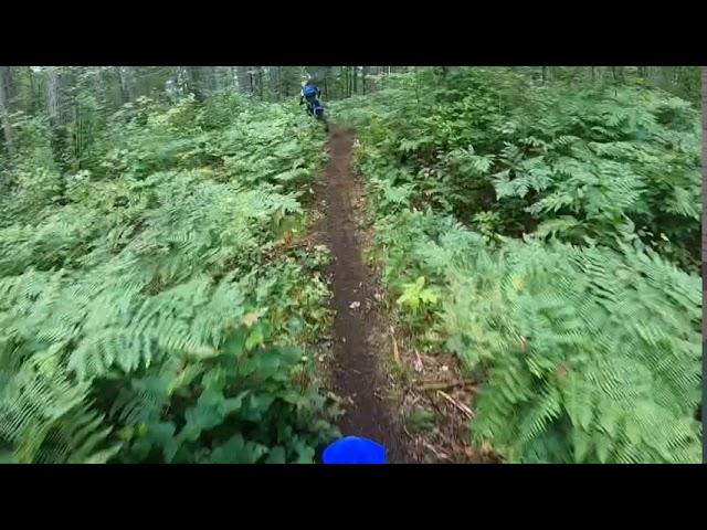 2021 YZ250X Yamaha - Gnarly Wicked Single Track in Ontario Canada