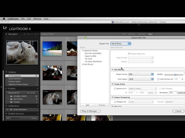 How to Convert RAW to JPEG in Lightroom