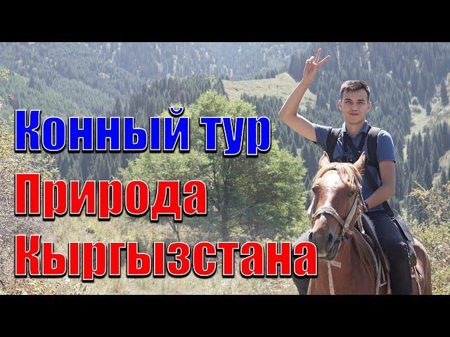 VLOG #1 | Конный тур.