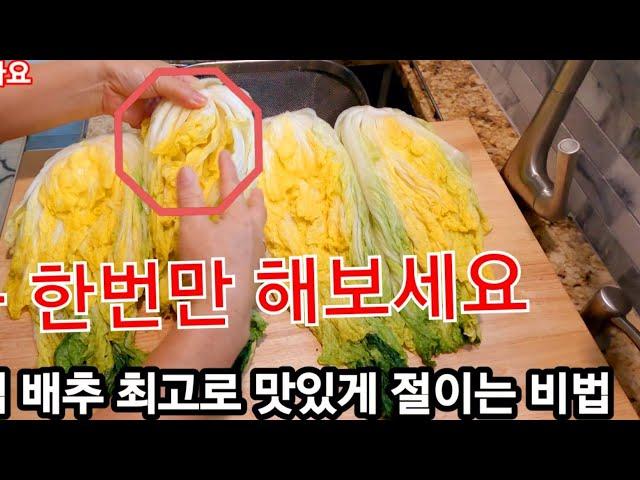 ‍[김장배추 최고로 맛있게 절이는  새로운 비법] 다 먹을때 까지 아삭하고 시원한 맛을 내주는 절임 방법 또 다른  꿀팁도. 있어요,10분만 시간을 내셔서 꼭 받아 가세요,,,