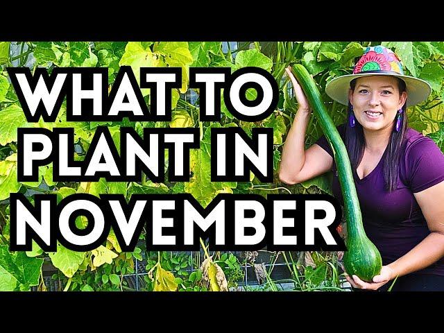 Top 30 Veggies To Plant In November For A Thriving Fall Garden