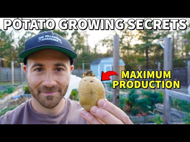 How To Plant Potatoes For MAXIMUM POTATO PRODUCTION!