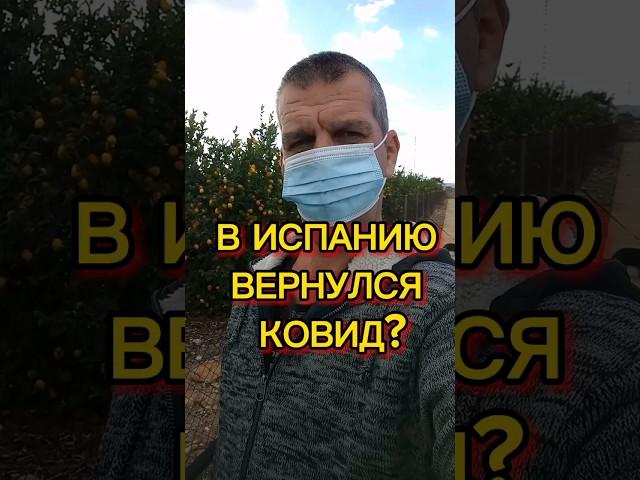 В Испанию вернулся ковид? #испания #ковидвиспании #иммиграция #внжиспании #переездвиспанию#эмиграция