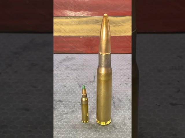 What’s the difference between 5.56 and 50 BMG?? #military #combatready #callofduty #militaryguns