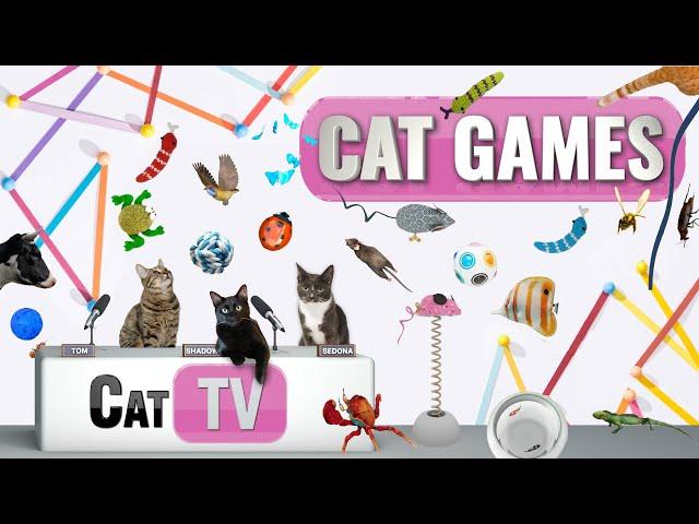 CAT Games | Ultimate Cat TV Compilation Vol 47 | 2 HOURS 