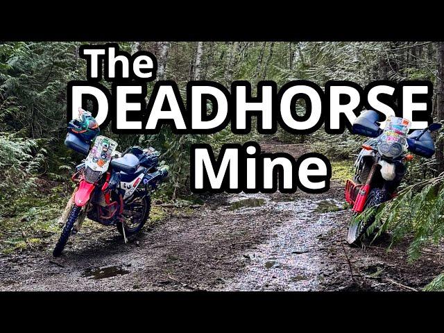 First Ride of 2025 - Dead Horse Mine - Dualsploring Van Isle S5 E1