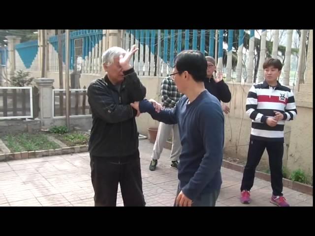 chenshi taijiquan practical method   태극권 발경