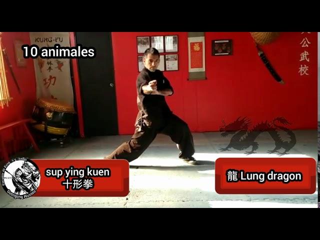 10 animales CHOY LEE FUT kung fu