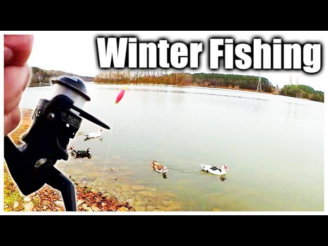 Fishing in DECEMBER - Winter Bank Fishing in Cold Weather