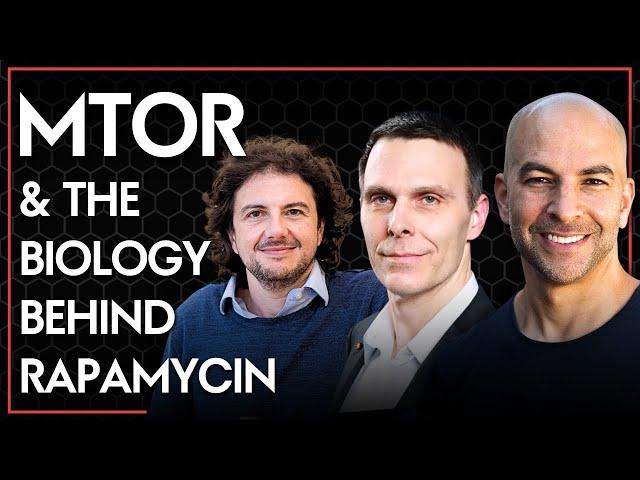 Explaining mTOR and the biology behind rapamycin | Peter Attia & David Sabatini