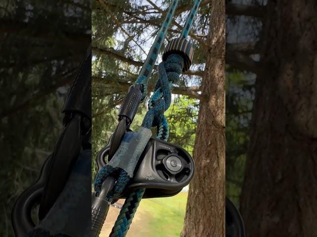 Limbing up a fir #treelife #arborist #letitrun