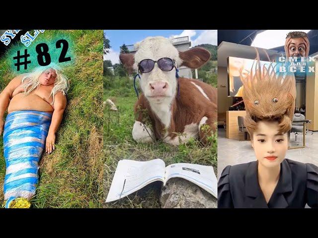 JOKES 2023 FUNNY VIDEOS WEIRDOS FROM TIC TOC #82
