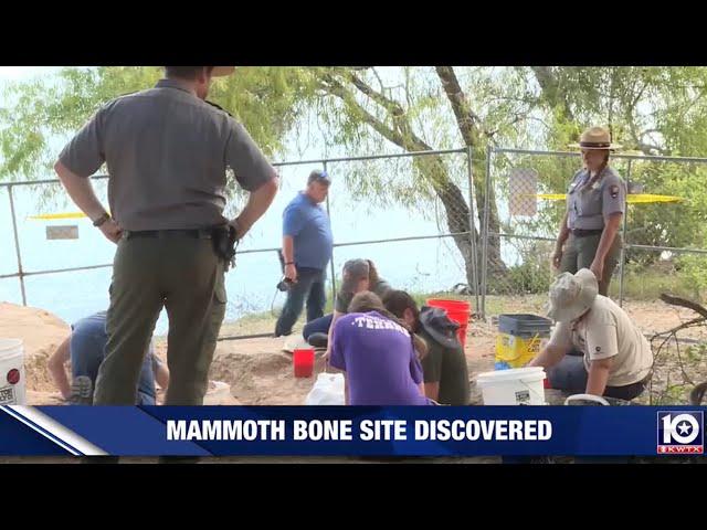 20,000- year-old mammoth remains discovered in Central Texas