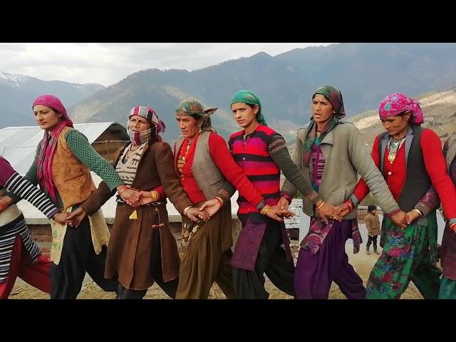 New latest Local culture uttarkashi mori village painsar