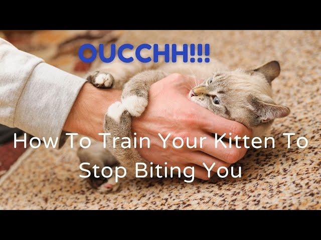 7 Tips - How to Stop Your Kitten From Biting Hands and Feet.