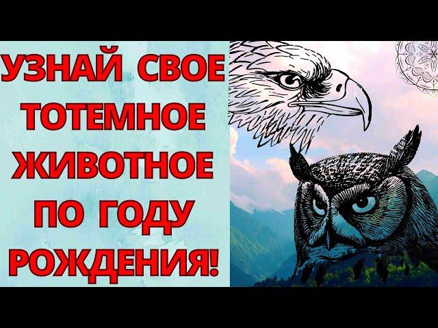 СЛАВЯНСКИЙ ГОРОСКОП ПО ГОДАМ! Кто ты по славянскому гороскопу? Тотемное животное по году рождения!