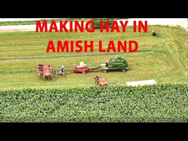 MAKING HAY in Lancaster County's AMISH and MENNONITE Land with HORSES and Tractors