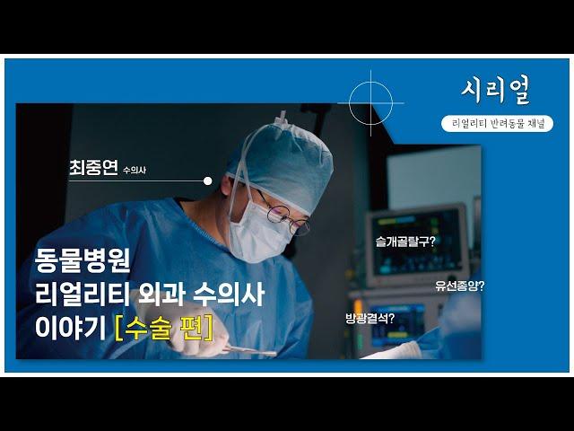 [SNC] 동물병원 외과 수의사 리얼리티 이야기 (슬개골탈구,유선종양 수술)