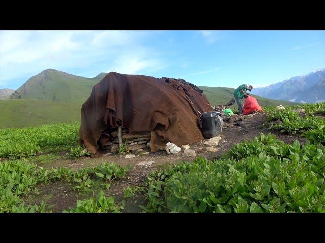 the pastoral life || chapter-84 || Nepal|| lajimbudha ||