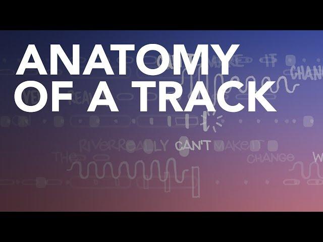 The Anatomy of: Animal Collective - What Would I Want? Sky
