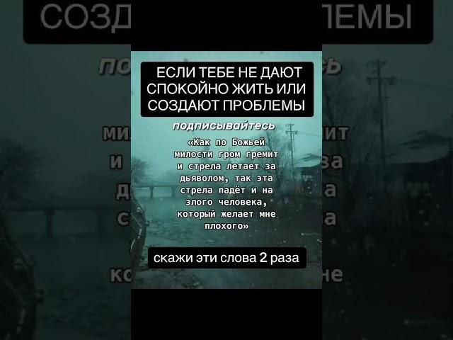 19 июня 2025 г.