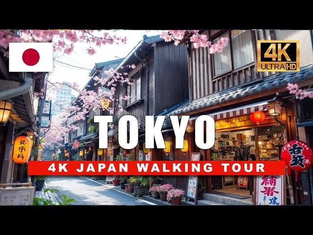 [4K] Walking Through Tokyo's Hidden Local Streets - Yanaka and Sugamo | 4K Walking Tour  ️