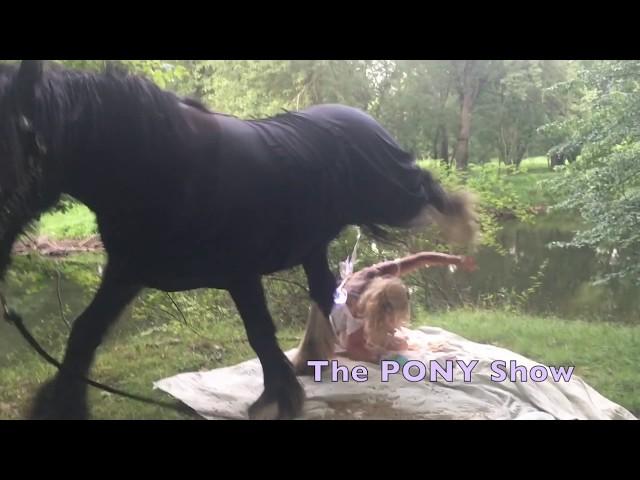 Unicorn steps on Fairy! Wear a Helmet!, @theponyshow #horse #helmet #horses #horsegirl