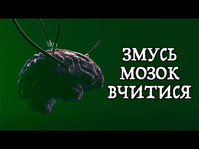 Примушуємо мозок вчитися – гайд із практичної нейробіології