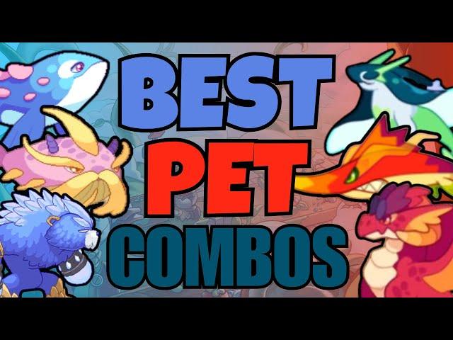 The Best Pet Combos For Everyone! | Prodigy Math Game