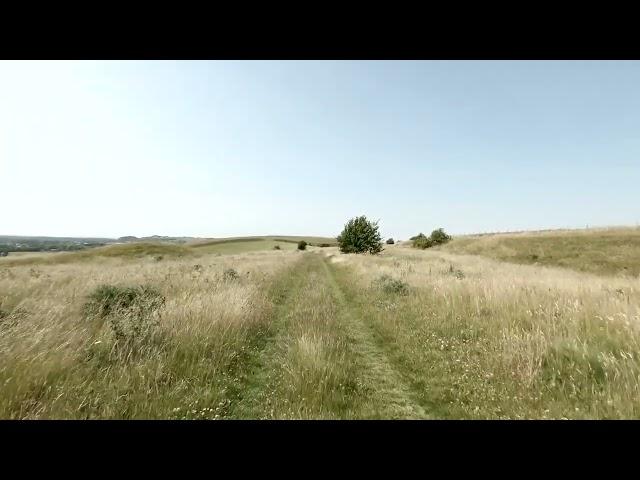 Árbol - Cambian (video lyric)