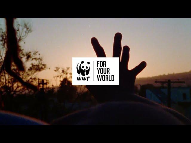 One Shared Home Brand Advert | WWF