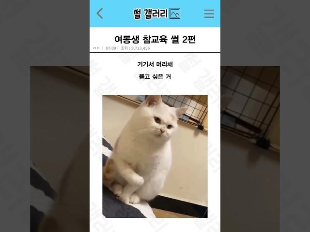 여동생 참교육 썰 2편