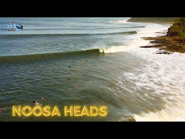 Noosa Heads Surf Cyclone Alfred  Life In The Wave