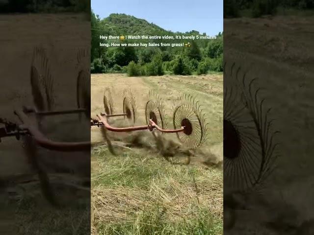 How to make hay bales in 3 simple steps! #shorts #hay #agriculture #tractor #farming