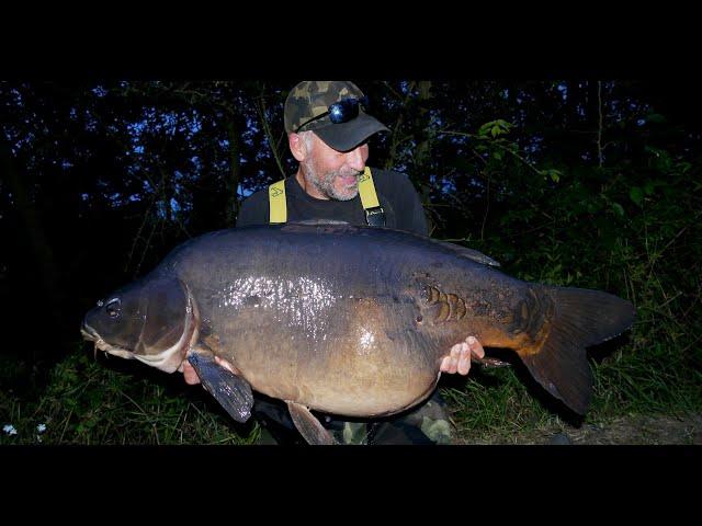 Summer CARP FISHING 2024 - German Giants!