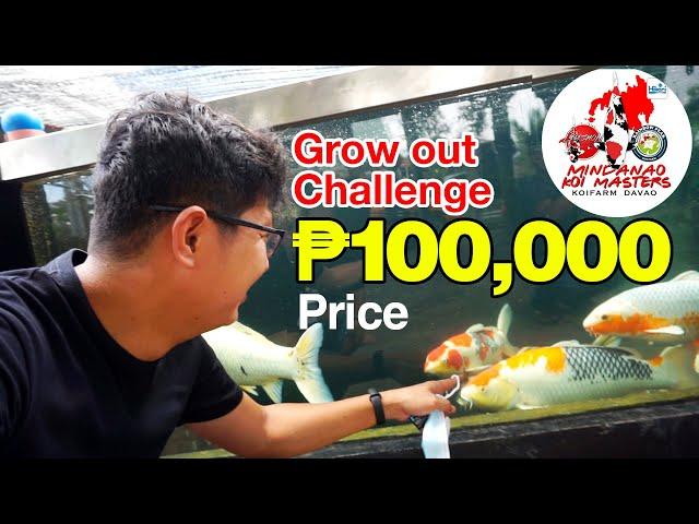 Visiting MKM Koi Farm | Grow out Challenge