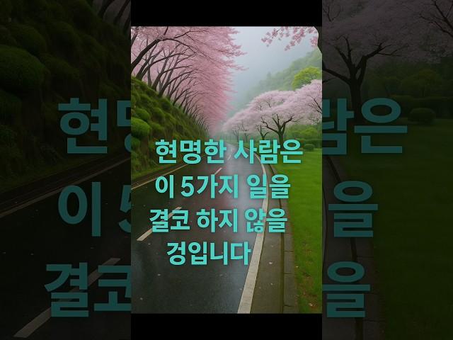 현명한 사람들이 절대 하지 않는 5가지 일 | 삶의 지혜 | 노후지혜