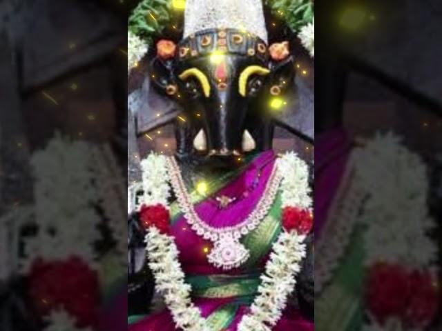 வாராகி வாக்கு |varahi amman advice in tamil | vaarahi Amman| #ammanadvice #varahiblessing #arulvaaku