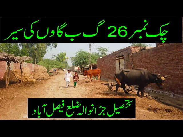 Chak 26 GB Anbalian Wali Satiana || Jaranwala, Faisalabad || Pakistan Village Life  || Gaon ki life